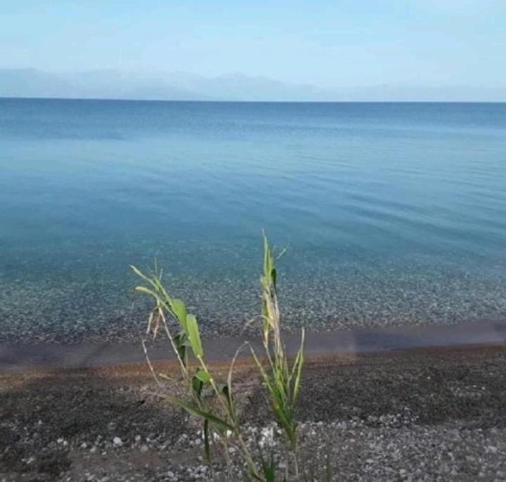 Golden Sea Villa Kalamata Eksteriør billede